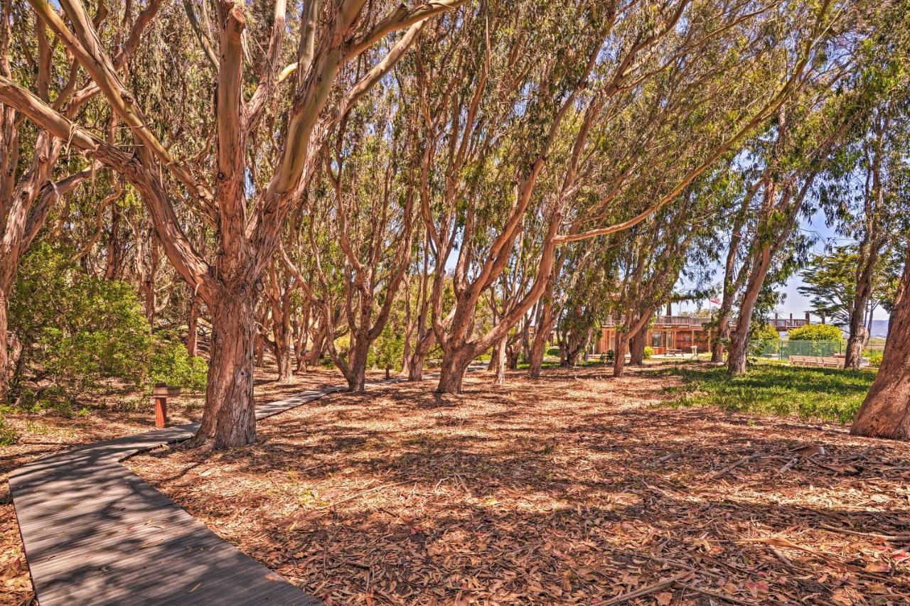 Beachfront Condo With Monterey Bay Views! Watsonville Eksteriør bilde